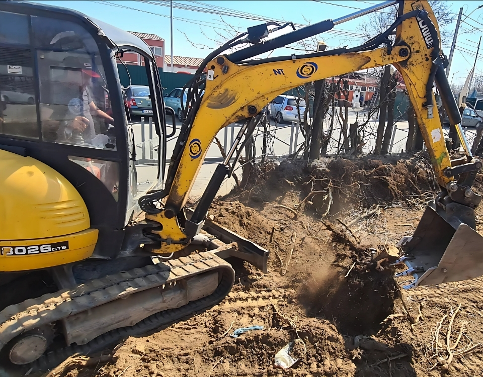 Închiriere mini excavator – soluție practică