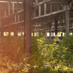 Defrișarea zonelor industriale: beneficii și soluții