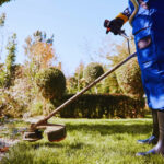 Importanța curățării vegetației: estetică și eficiență