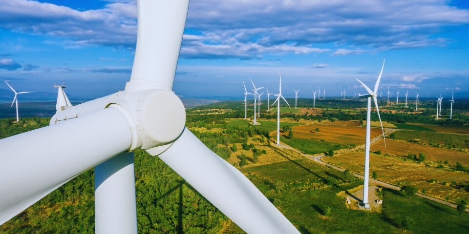 Utilaje pentru defrișarea parcurilor eoliene: soluții utile