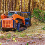 Tocătoarea profesională – soluția curățării ecologice
