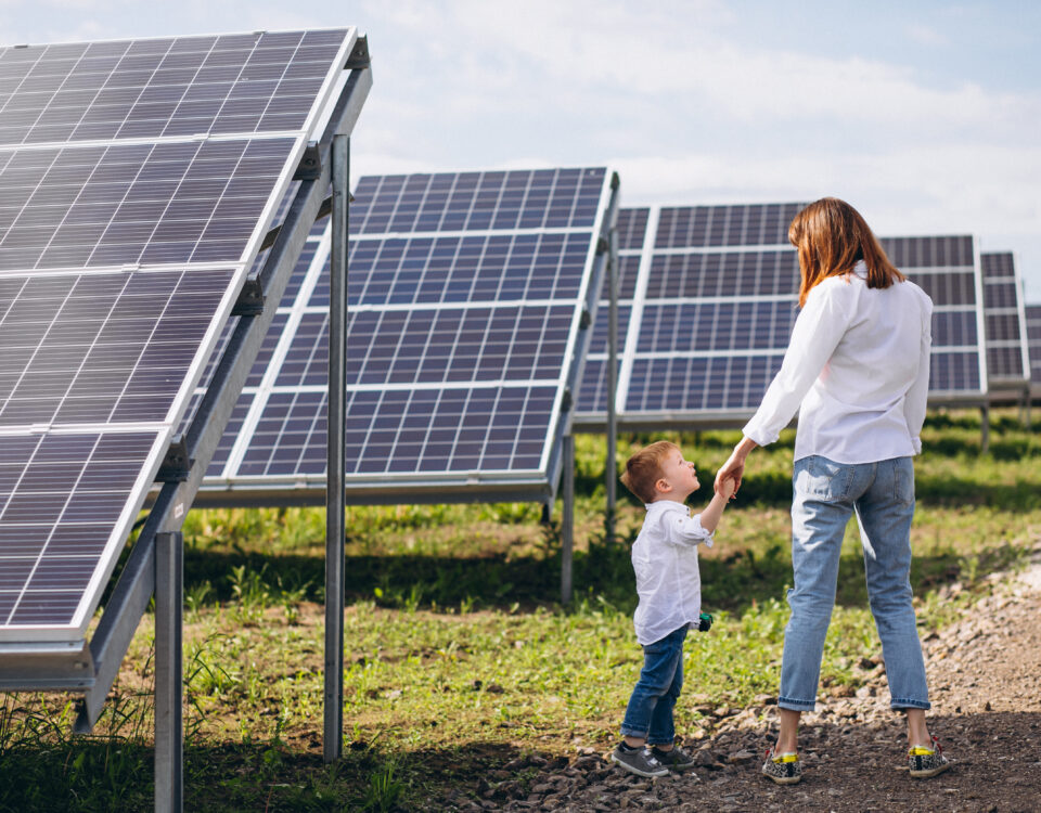 Curățare și pregătire teren pentru parcuri fotovoltaice