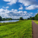 Defrișări selective pentru trasee de cicloturism