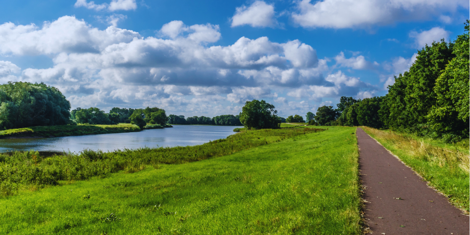 Defrișări selective pentru trasee de cicloturism