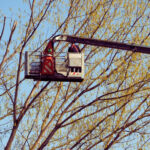 Tipurile de nacele – utilaje pentru lucrări la înălțime