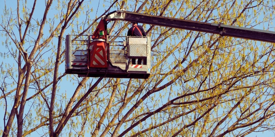 Tipurile de nacele – utilaje pentru lucrări la înălțime